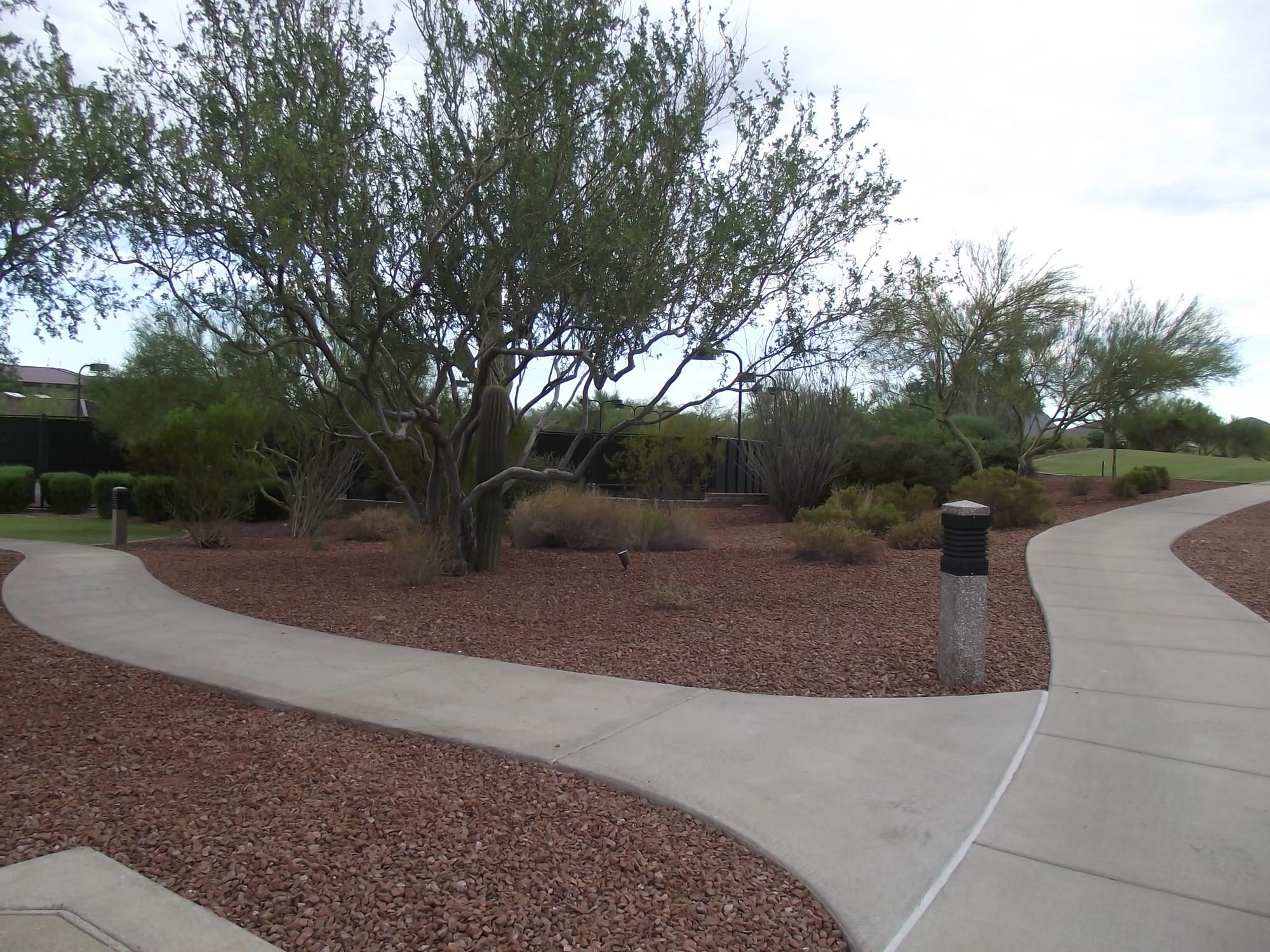 Fresh gravel along a curving greenbelt path in the Anthem community, Arizona