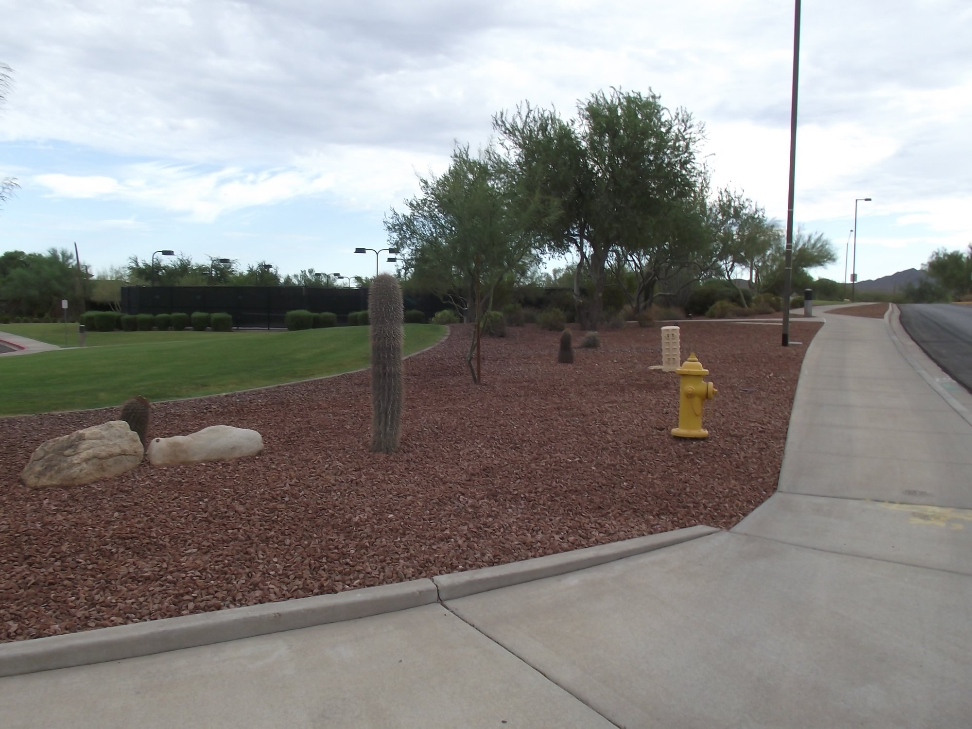 Refreshed gravel and greenbelt with sidewalk in Anthem, Arizona