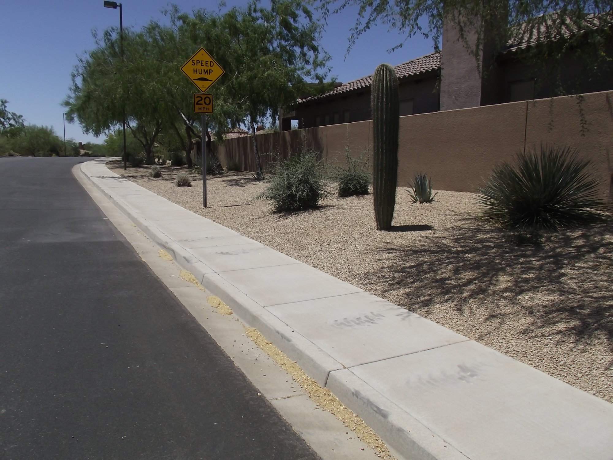 Desert gravel along a sidewalk with saguaro cacti in the Aviano community, Arizona