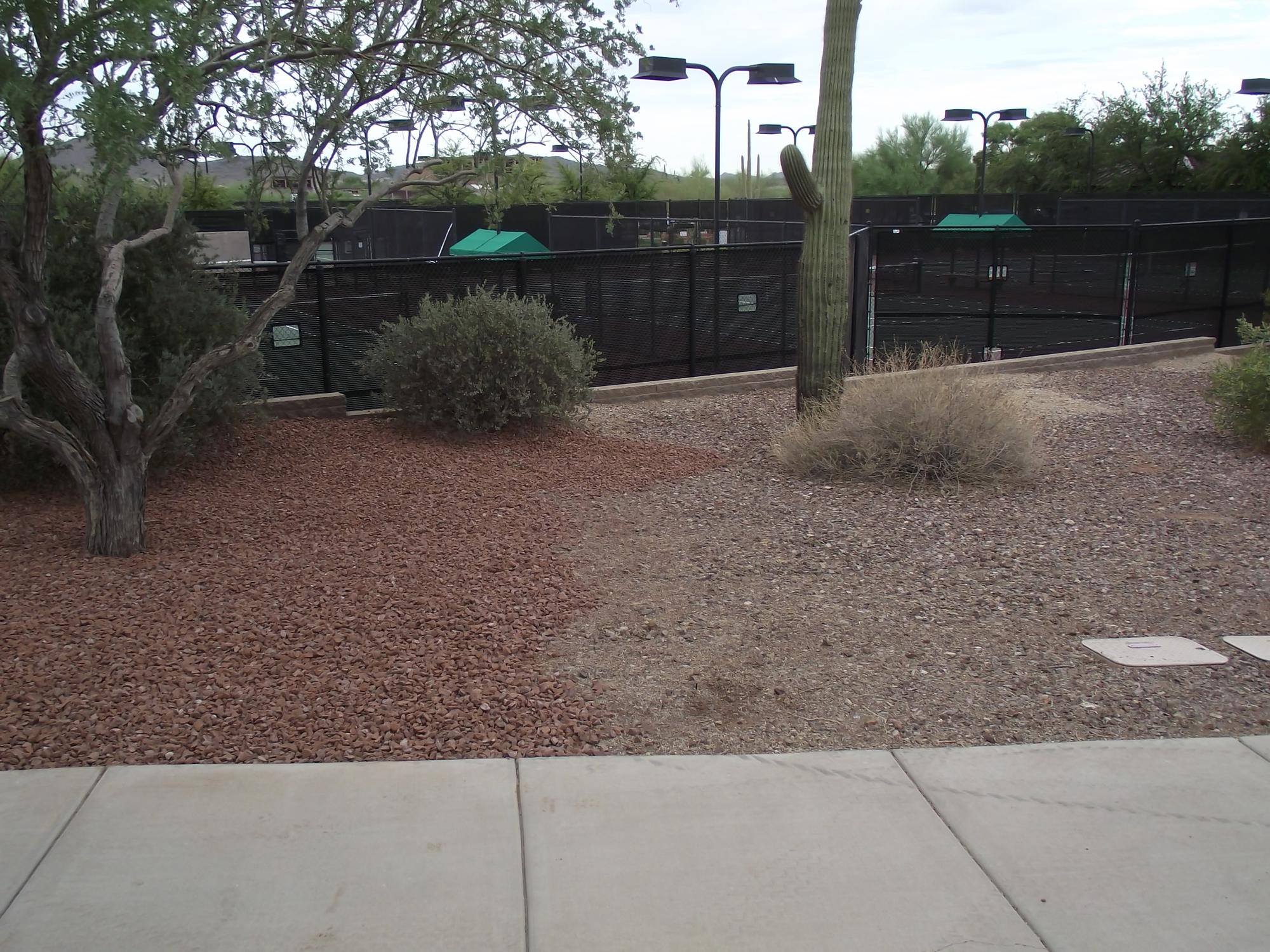 Freshly installed decomposed granite around desert landscaping at an Arizona commercial property
