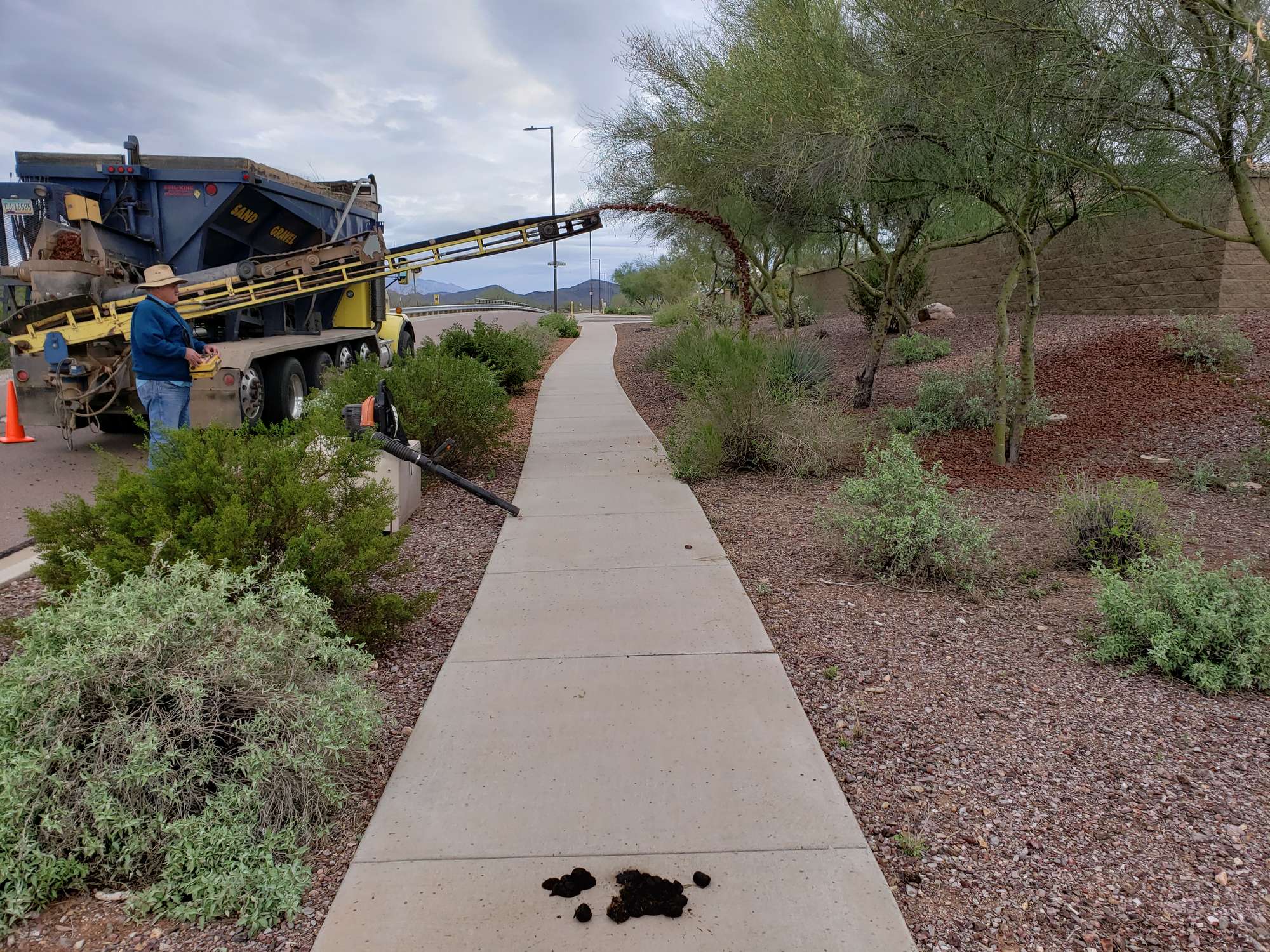 Crew replenishing gravel along a greenbelt walkway with a conveyor in Arizona