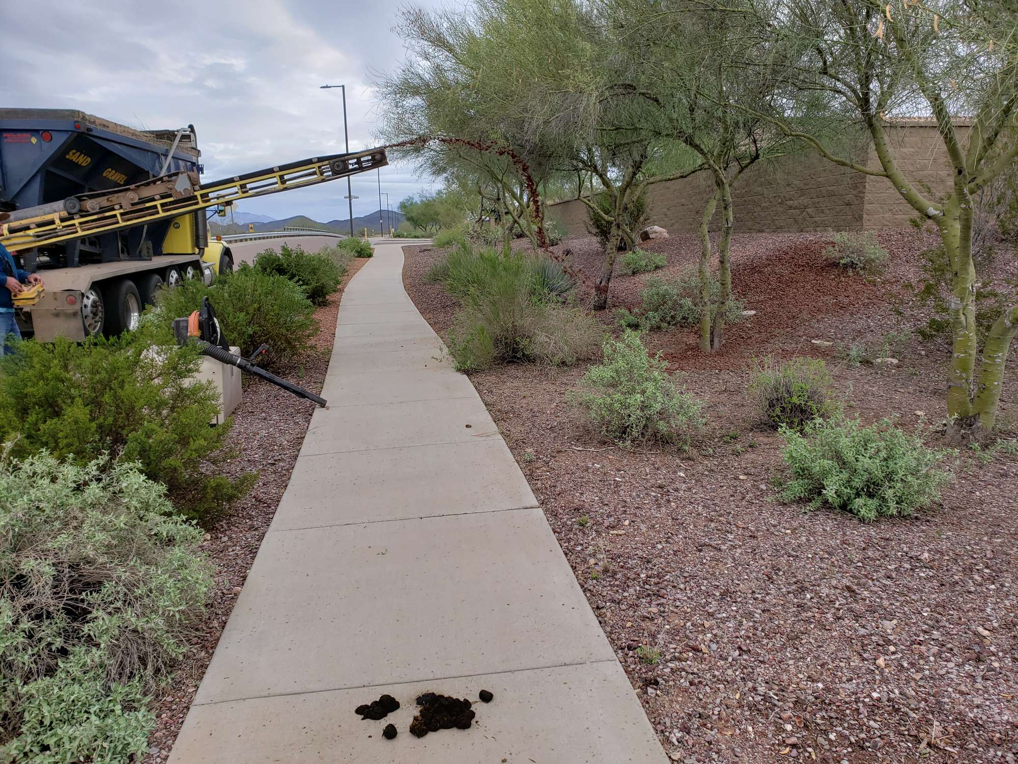 Gravel conveyor spreading fresh decomposed granite along a greenbelt path in Arizona